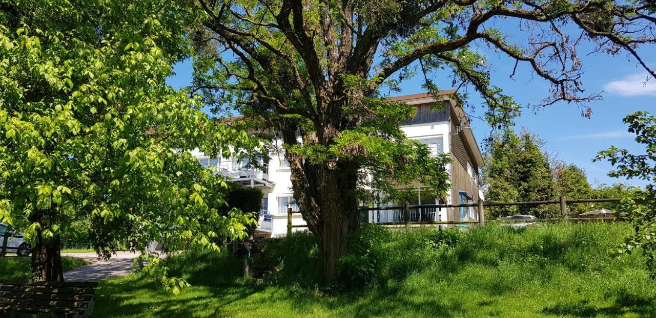 Apartamento Le Panoramic Bains-les-Bains Exterior foto