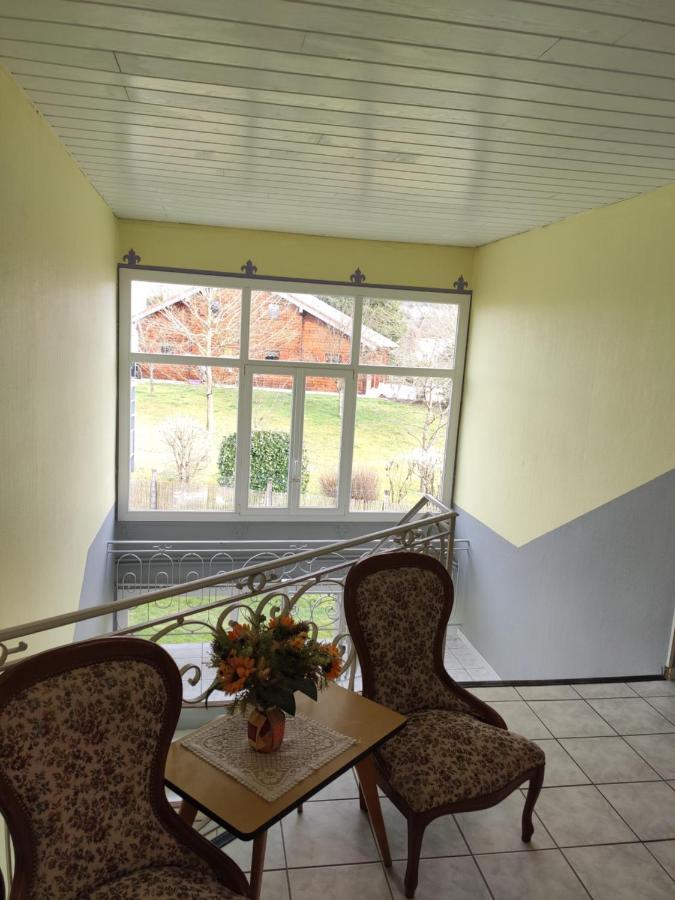 Apartamento Le Panoramic Bains-les-Bains Exterior foto